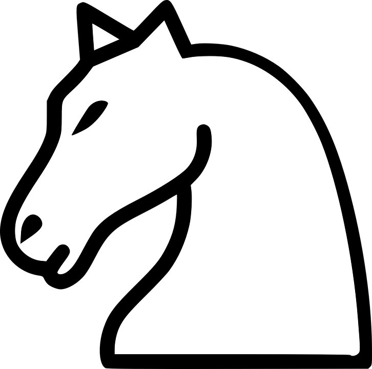Knight